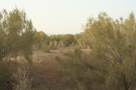 Naein Sand Dunes.jpg