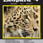 Persian_Leopard_Newsletter1