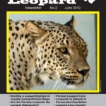 Persian_Leopard_Newsletter2