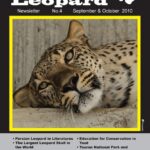Persian_Leopard_Newsletter4
