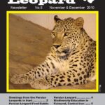 Persian_Leopard_Newsletter5