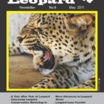 Persian_Leopard_Newsletter6