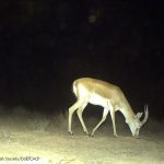 CDY_0024