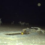 CDY_0018-2
