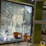 ICS_Exhibition5