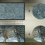 Navid Pattern(5)