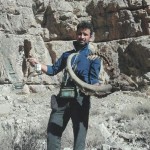 ICS_Leopard5