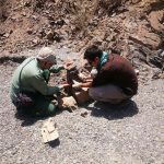 Camera Trap 1