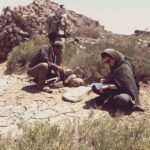 cheetah-monitoring