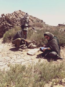 Asiatic Cheetah Monitoring Program