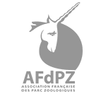 AFdPZ