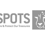 SPOTS