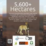 Livestock Remove from Cheetah habitat-en