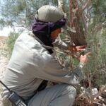 Ranger installing cameratrap