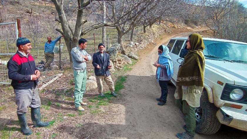 Persian Leopard Conservation in Tarom