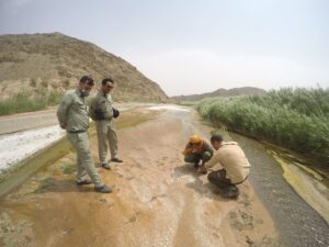 Explorers of Hope Team Searching for Asiatic Cheetah