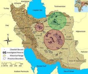 Known Asiatic Cheetah Habitats in Iran