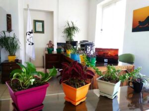 Iranian Cheetah Society Office