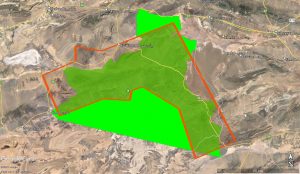 The Iranian Cheetah Society’s statement following the news of the release of new areas for mining exploration in the only viable habitat of the cheetah.