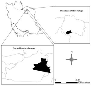 Touran and Miandasht-Asiatic Cheetah Habitat