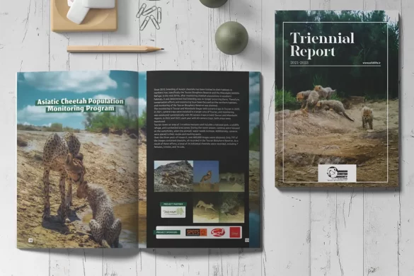 Iranian Cheetah Society Releases Triennial Report on Wildlife Conservation and Asiatic Cheetah Conservation