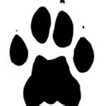 cheetah-footprint