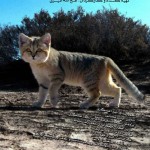 full-hayat-dar-biaban