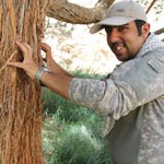 کاوه