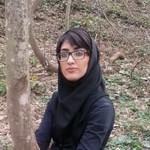 parisa khaleghi-low