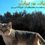 thumb-hayat dar biaban