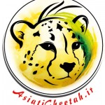 AsiaticCheetah