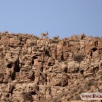 سفر به پارک ملی تندوره
