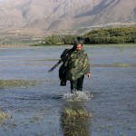 پرنده نگری در تالاب چغاخور – تیرماه