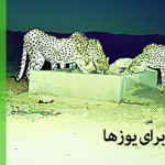 Donate1