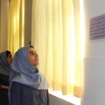 Picture-148