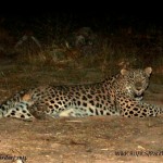 _MG_8535 (2)