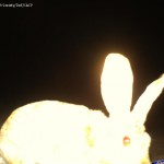 CDY_0022
