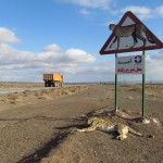 عکس از: اداره کل حفاظت محیط زیست استان سمنان