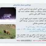 Wildtalk 19