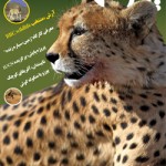 یوزنامه شماره 20