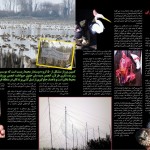 یوزنامه شماره 20