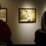 گزارش تصویری از نمایشگاه عکس یوزپلنگ ایرانی