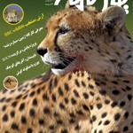 یوزنامه شماره 20