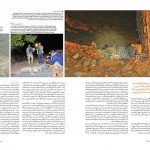 تعقیب پلنگ در سرزمین من