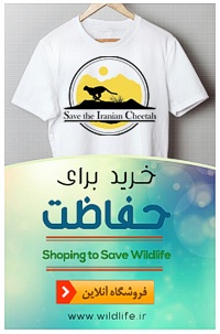 فروشگاه محصولات حیات وحش انجمن یوزپلنگ ایرانی