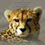 روز یوز در شاهرود