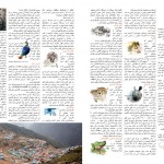خبرنامه داخلی انجمن یوزپلنگ ایرانی