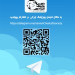 QR_Code_telegram.me.IranianCheetahSociety