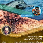 Wildtalk23 (1)