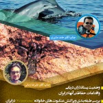 Wildtalk23